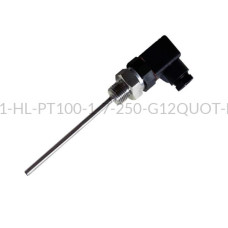 Rezystancyjny czujnik temperatury PT100 AS1-HL-PT100-1-7-250-G1/2"-B-3