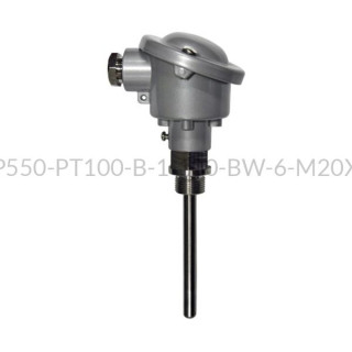 Głowicowy czujnik temperatury PT100 - AS1-CTP550-PT100-B-1-100-BW-6-M20X1,5-B-2