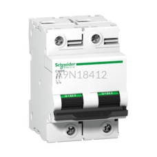 Wyłącznik nadprądowy 2P A9N18412 Schneider Electric