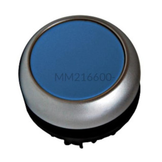 MM216600-- Schrack – Przycisk pulpitowy niebieski z samopowrotem